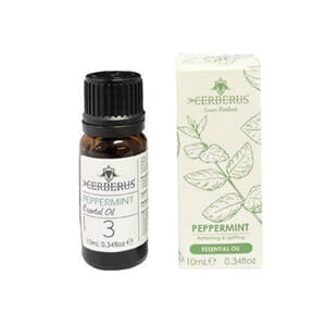 Eterisk Duftolje Peppermynte 10 ml